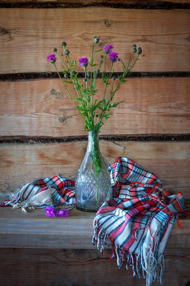 Photograph by Елена Фокина