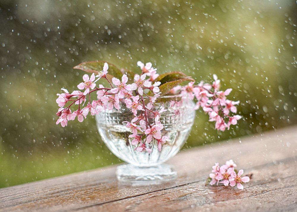 Photograph by Татьяна Александрова