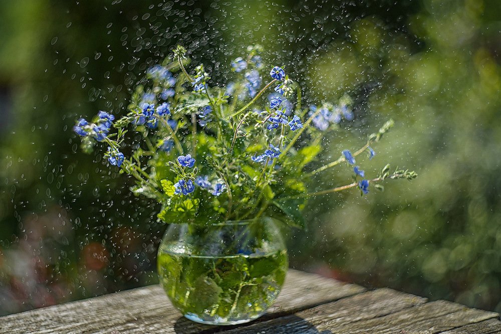 Photograph by Татьяна Александрова