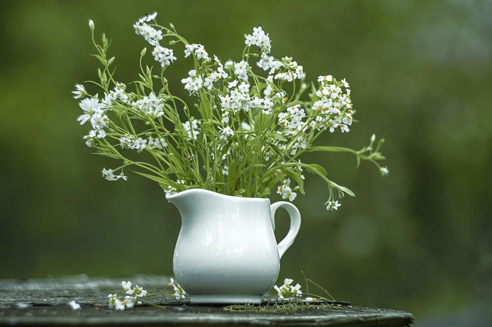 Photograph by Татьяна Александрова