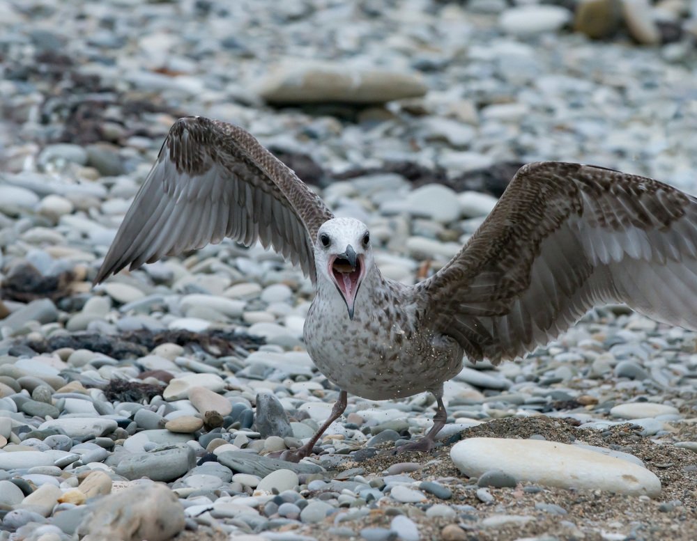 Скажи хоть слово мне, Только не молчи.