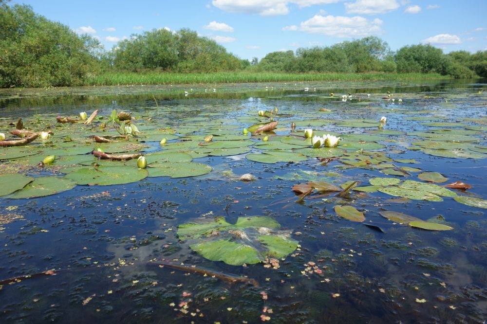 Photograph by Марусевич Светлана