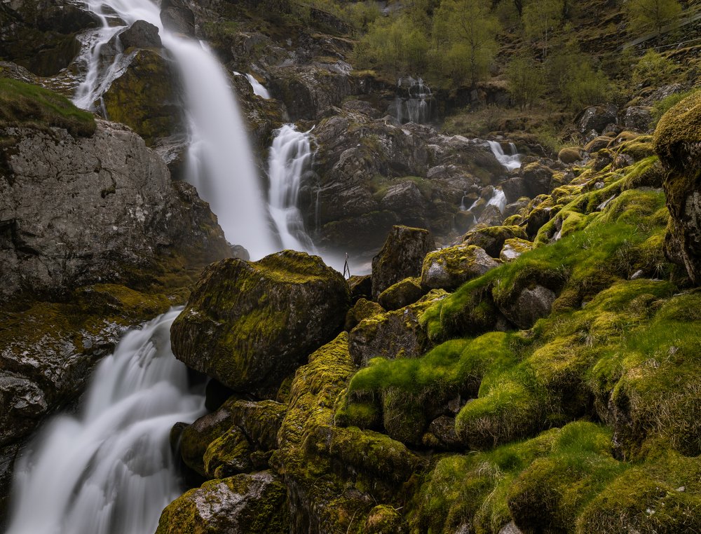 Photograph by Nikolai Mihhailov