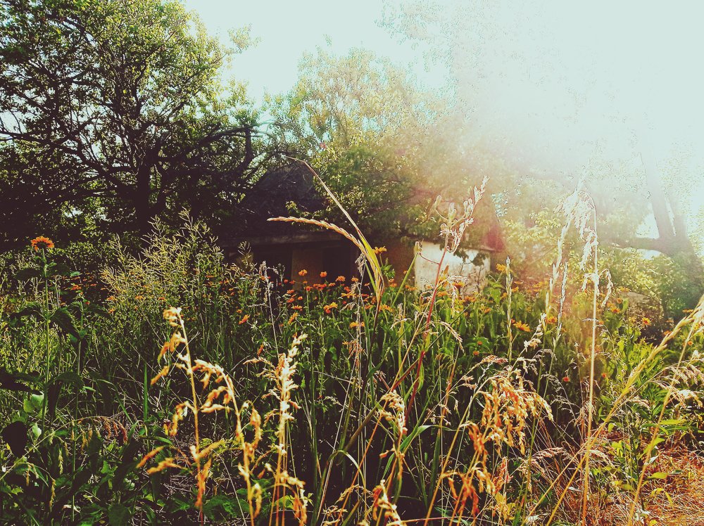 Photograph by Татьяна Зобова