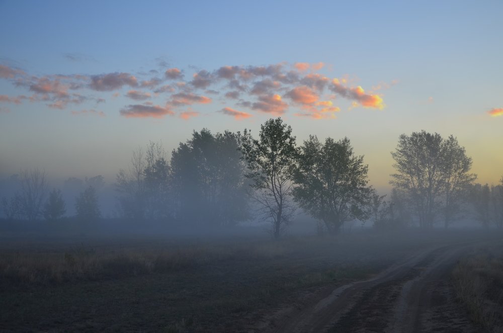 Photograph by Ольга Айдагулова