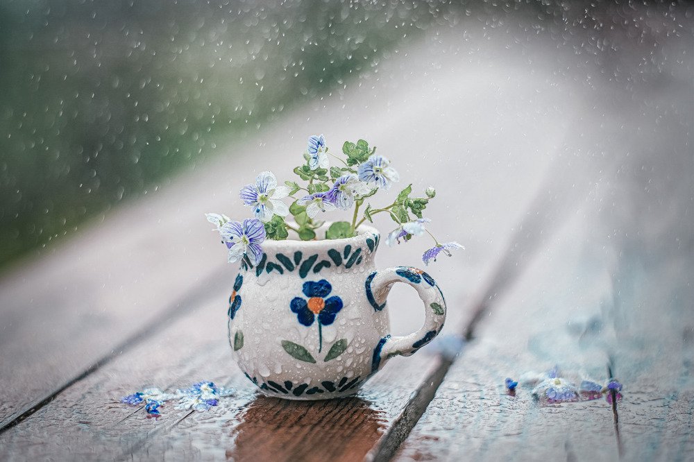 Photograph by Татьяна Александрова