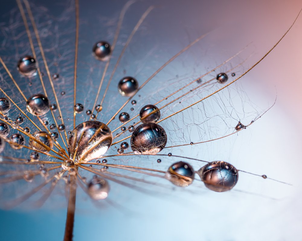 Photograph by Владимир Зубков