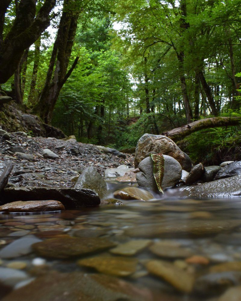 Photograph by Amin Naderloei