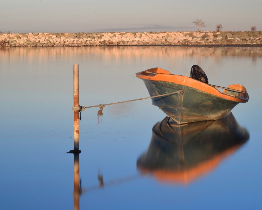 Фотография автора Mohammad amin Naderloei