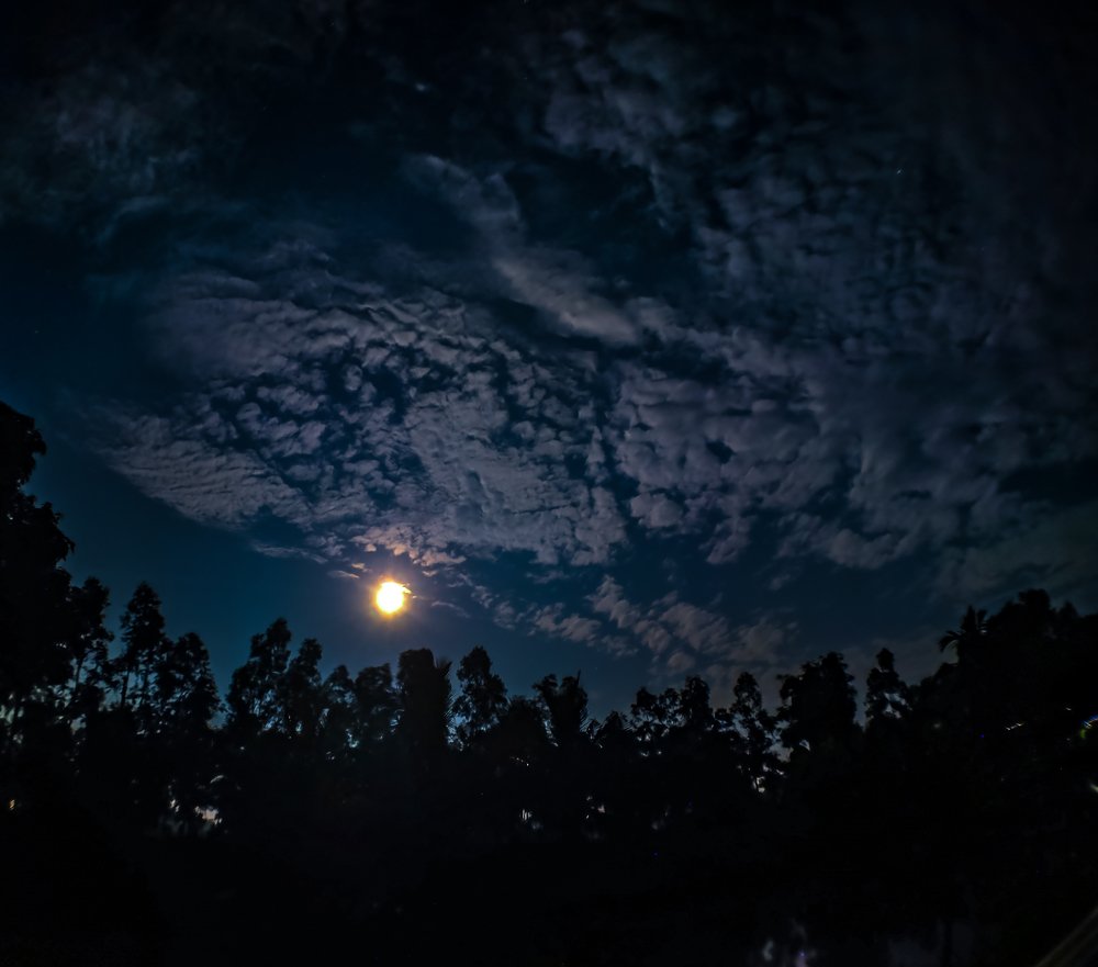 Photograph by Abhishek Manna