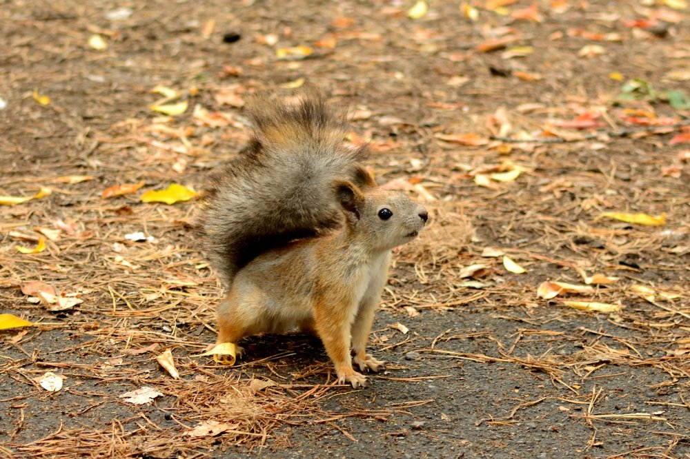 Photograph by Александра Ватутина