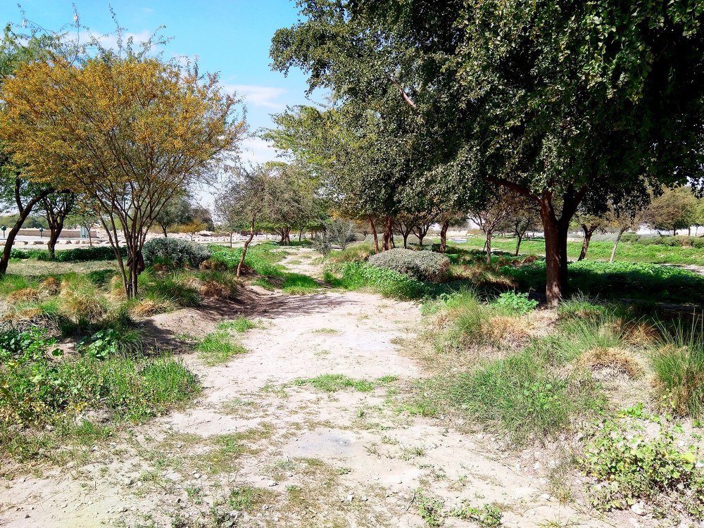 Фотография автора Jayed Wahib Ul Malik