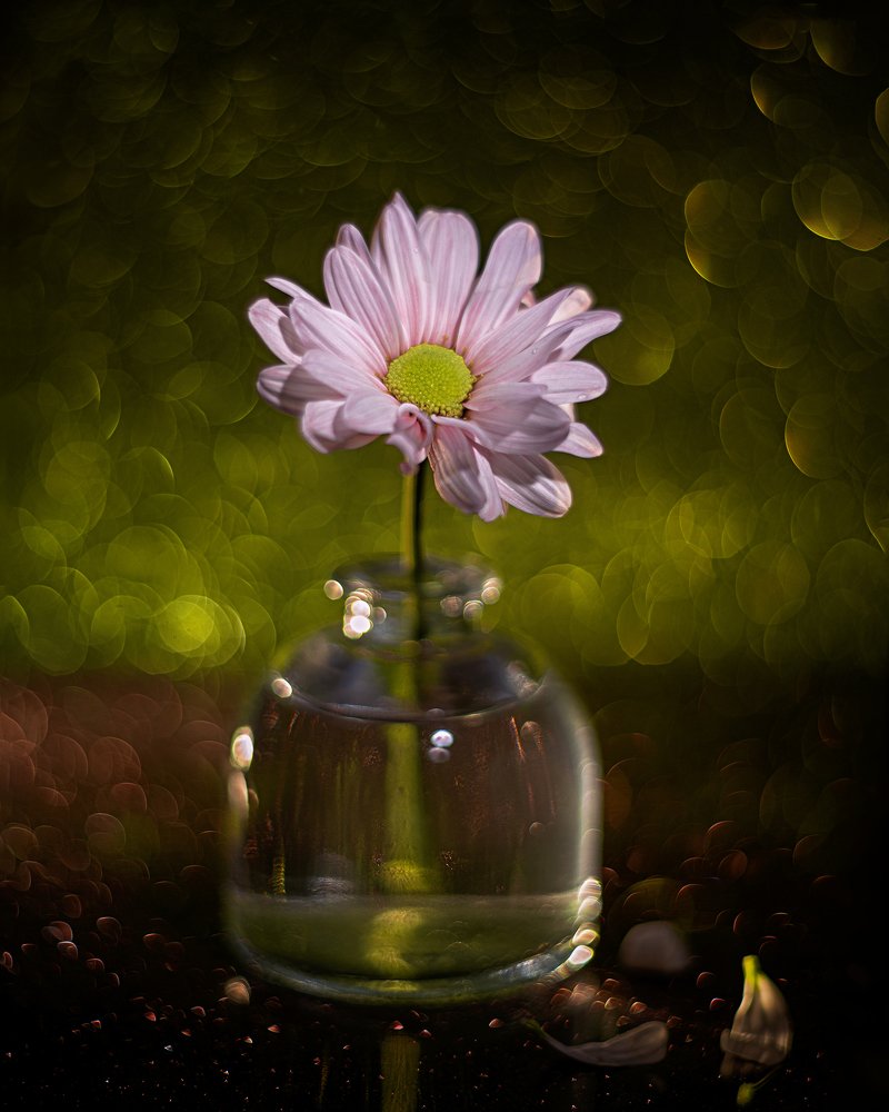 Фотография автора Андрей Сосновский