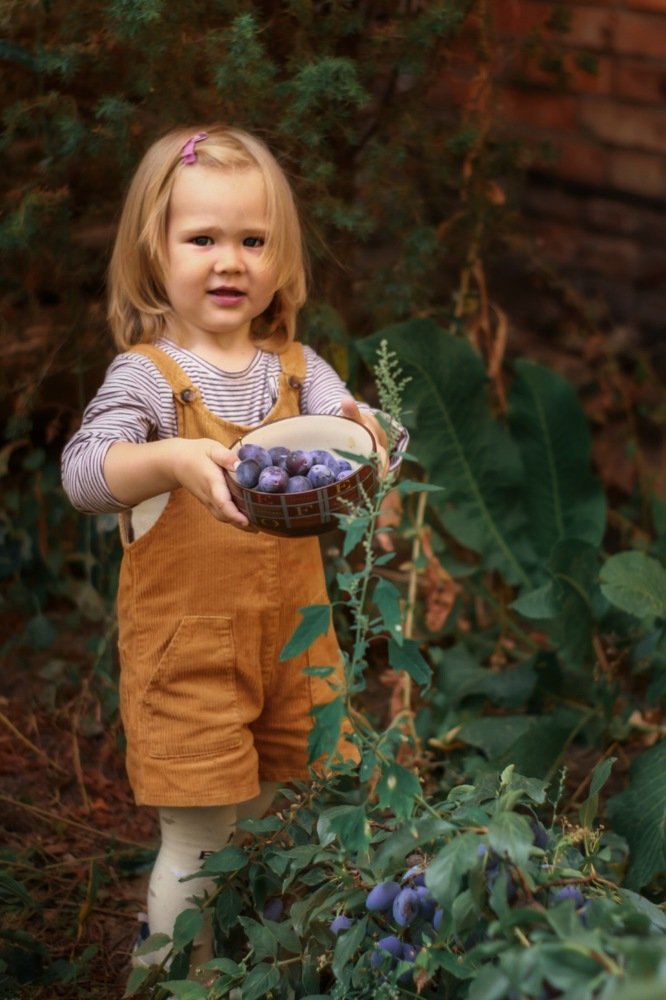 Photograph by Olha Boiko