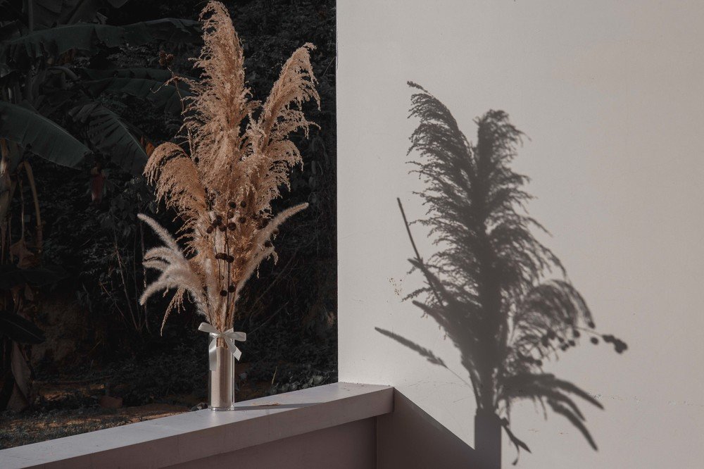 Photograph by Евгения