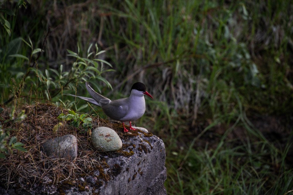 Photograph by Анна Колесникова