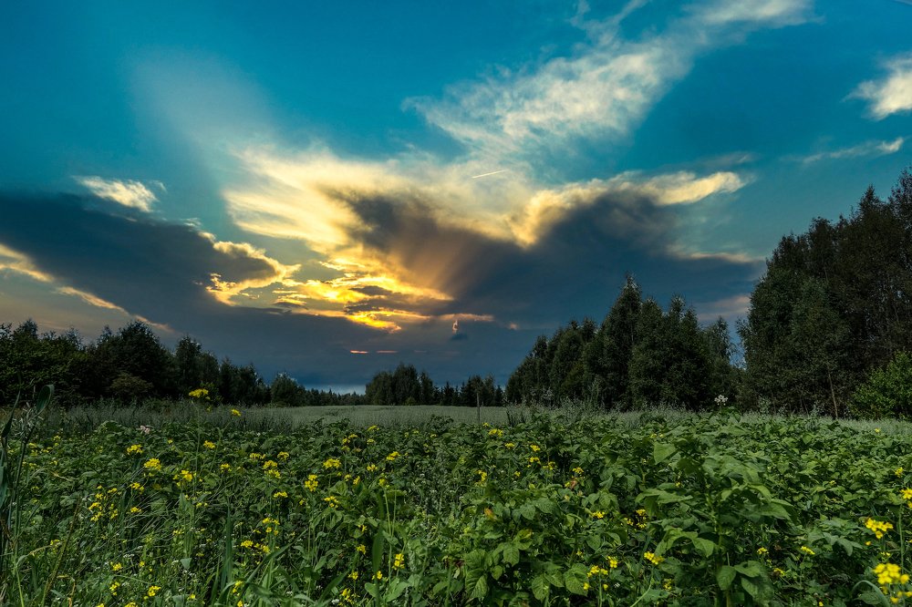 Photograph by Вячеслав Камышев