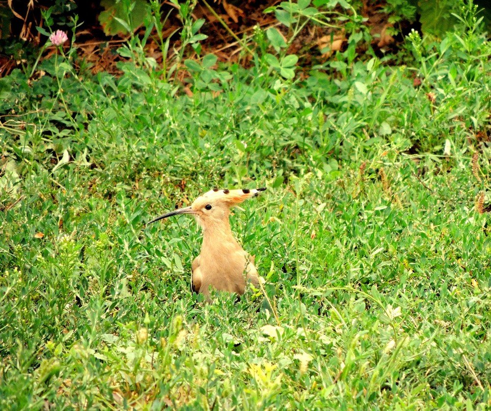 Photograph by Аспан