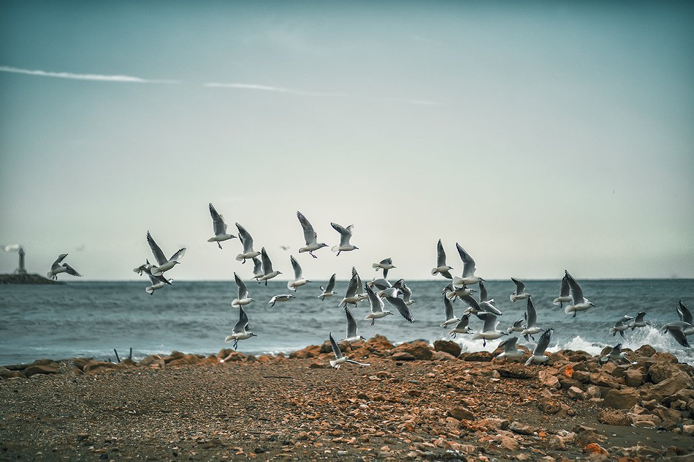 Photograph by Ирина Малина