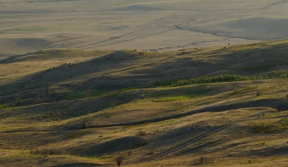 Ставропольский край