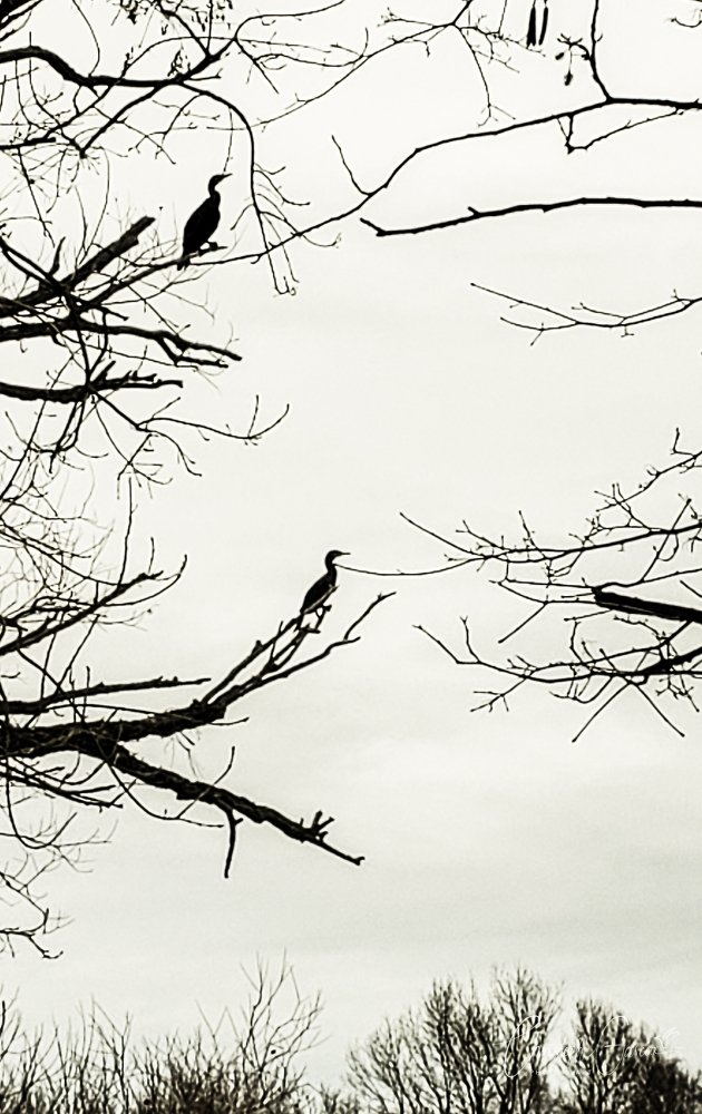 Photograph by GARCIA CHRISTOPHE