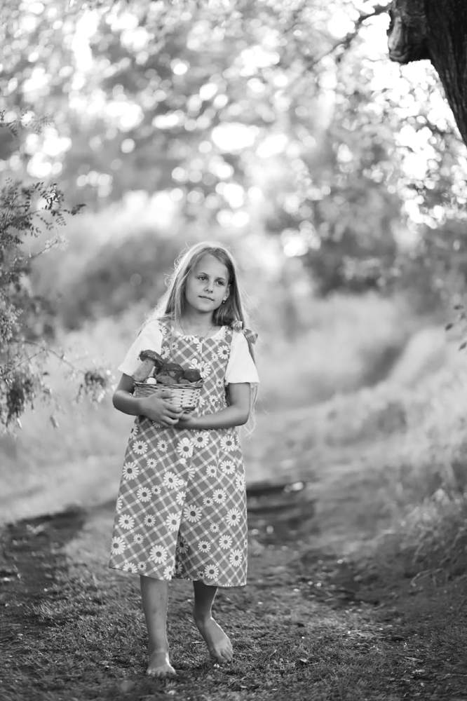 Грибное лето