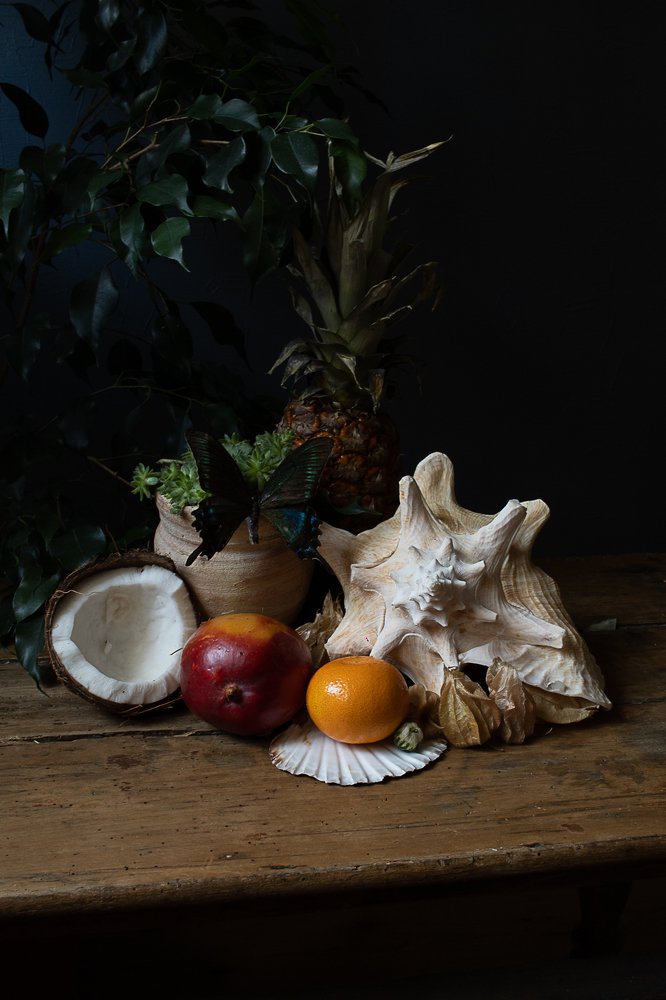 Photograph by Claudia Bertou