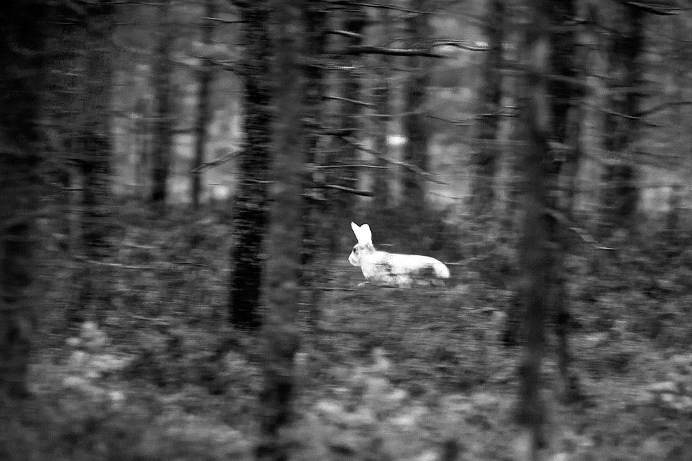 Photograph by Андрей Костромин