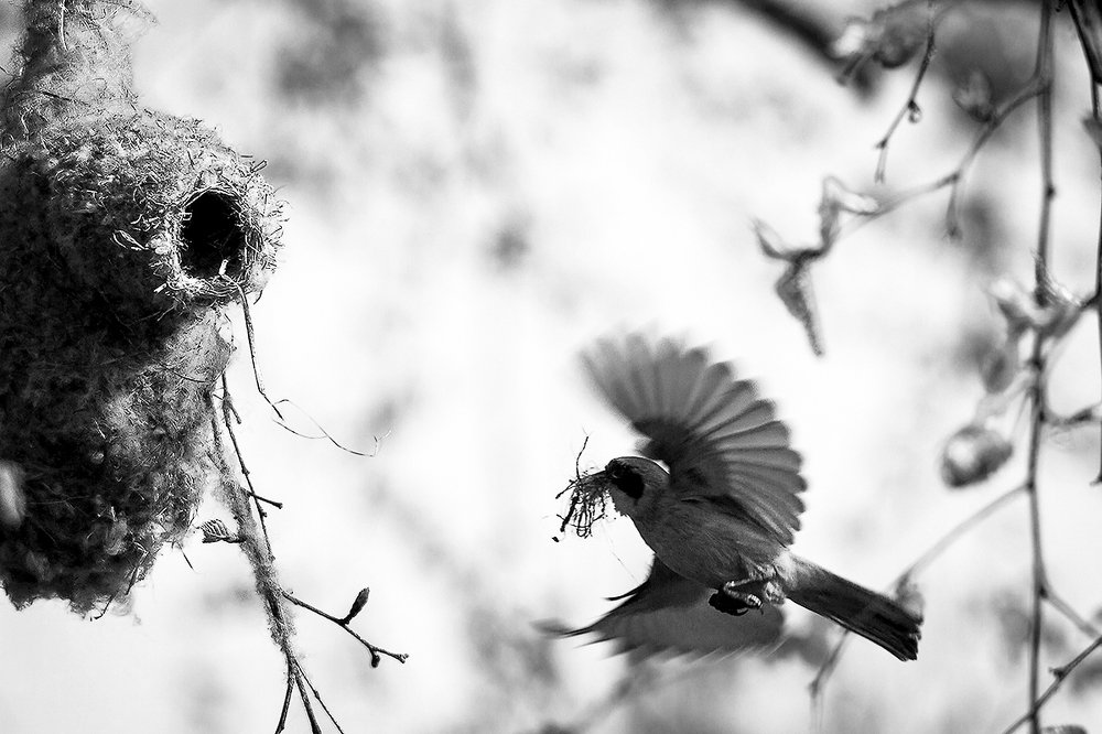 Photograph by Андрей Костромин