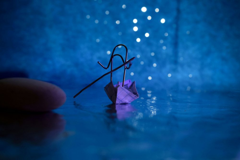 Фотография автора Алина