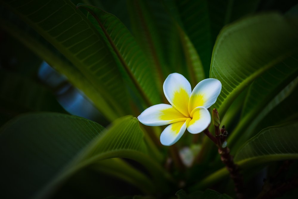 Photograph by Алексей Чечель