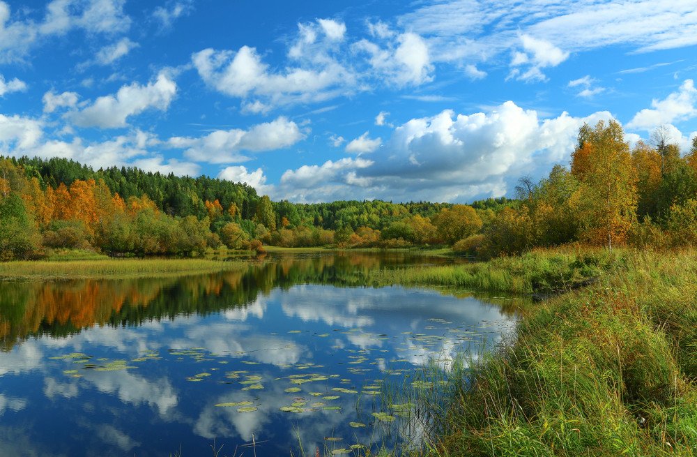 Photograph by Александр Трифанов