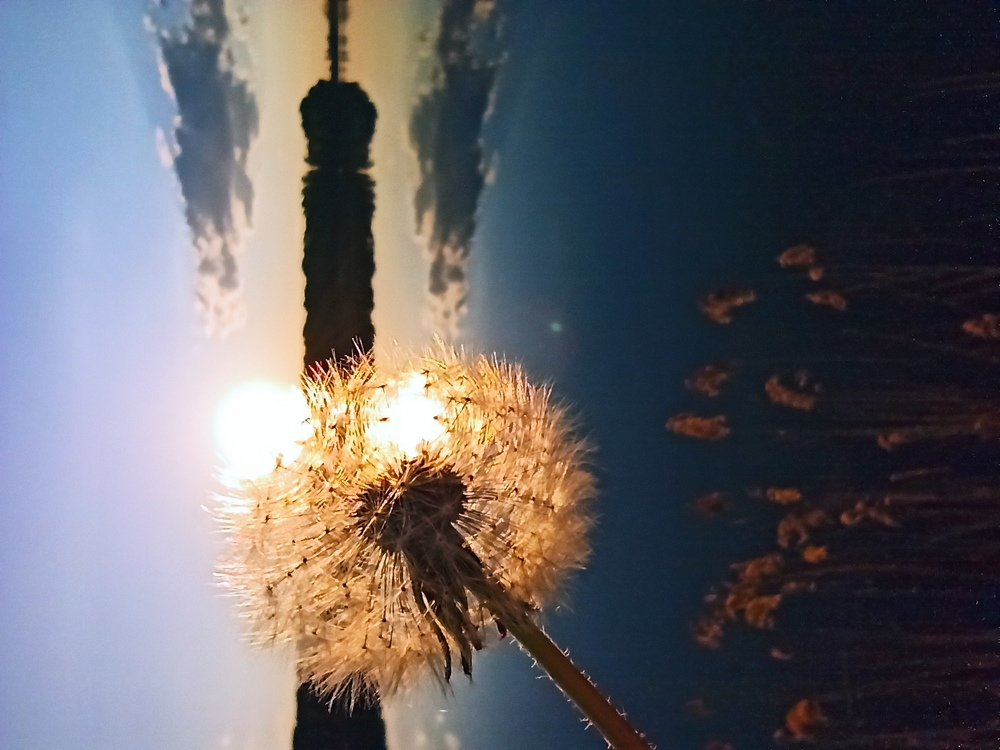 Photograph by Людмила