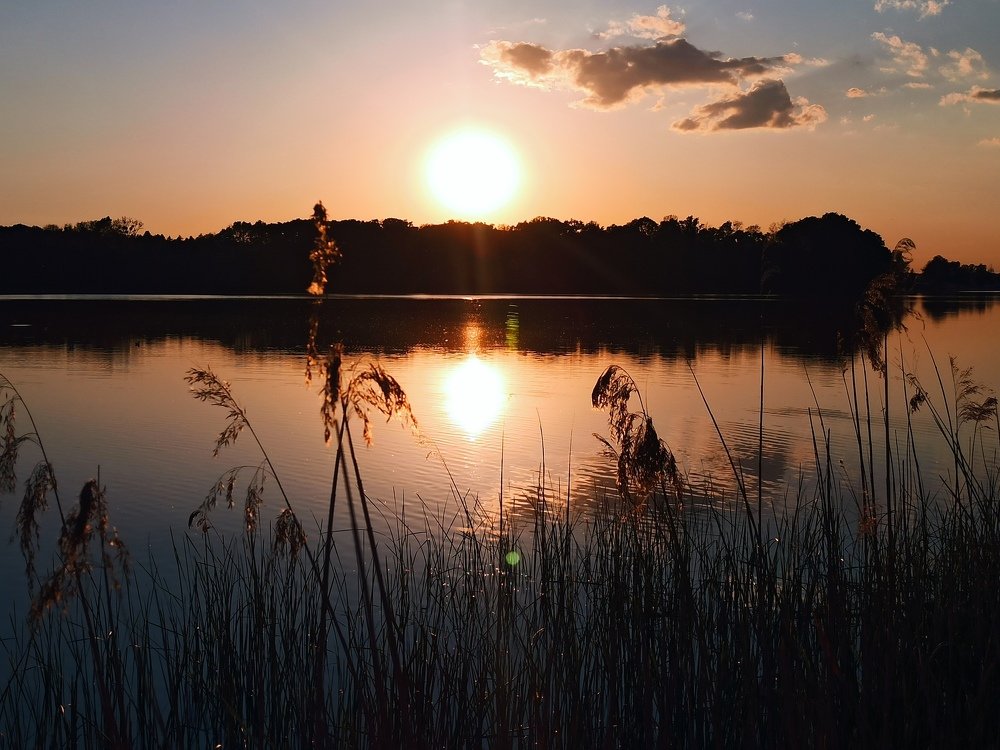 Photograph by Людмила