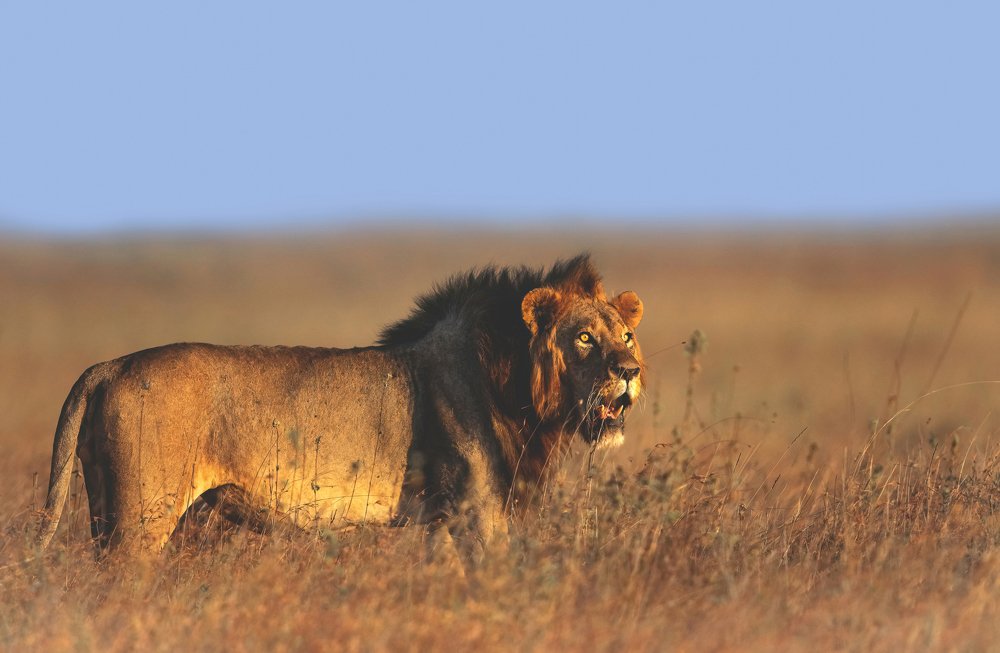 Photograph by SAMIUL KABIR