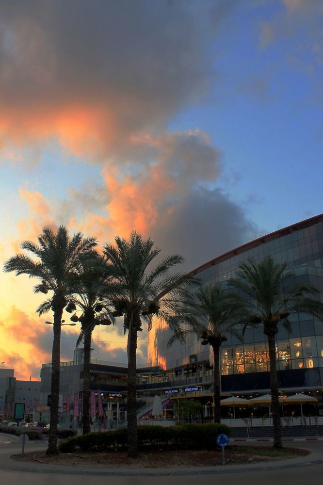 Фотография автора Алла Черноморская