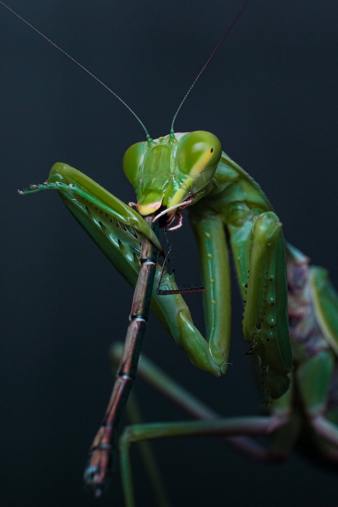 Photograph by Юрьевич Юрий