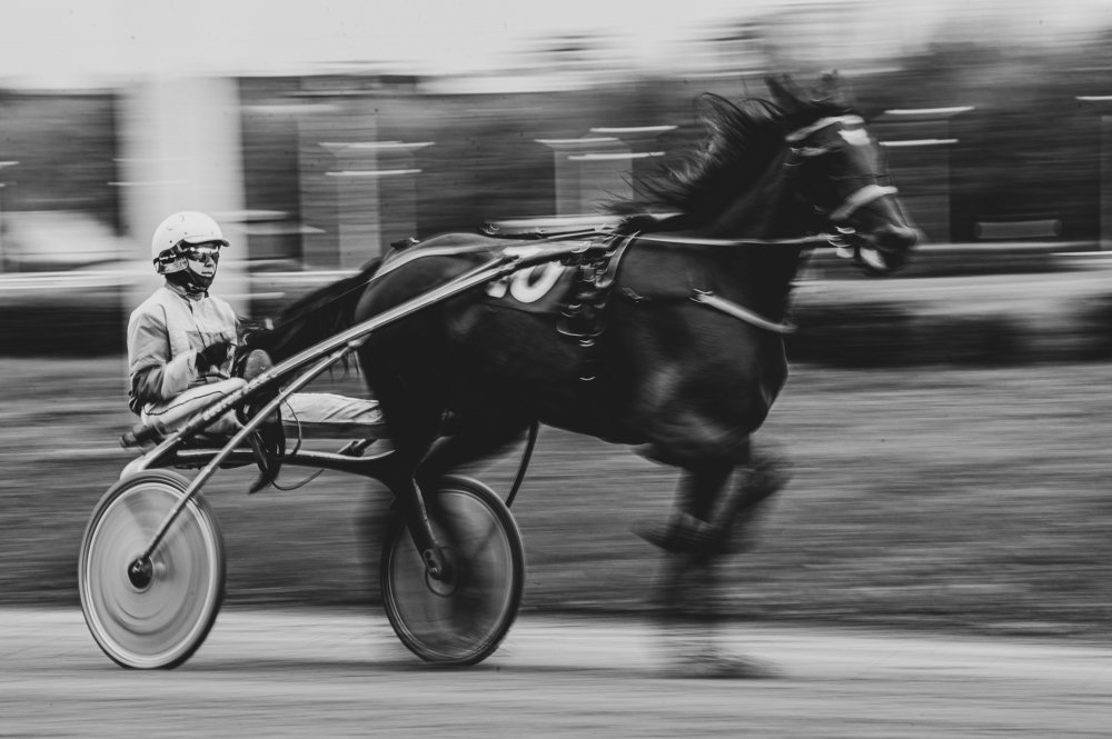 Photograph by Марк Ильин