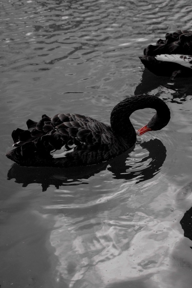 Фотография автора Климентий