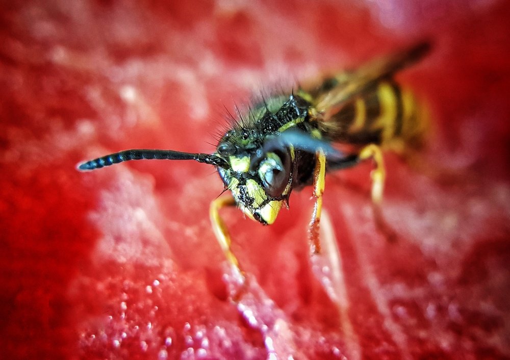 Photograph by Татьяна Мельникова