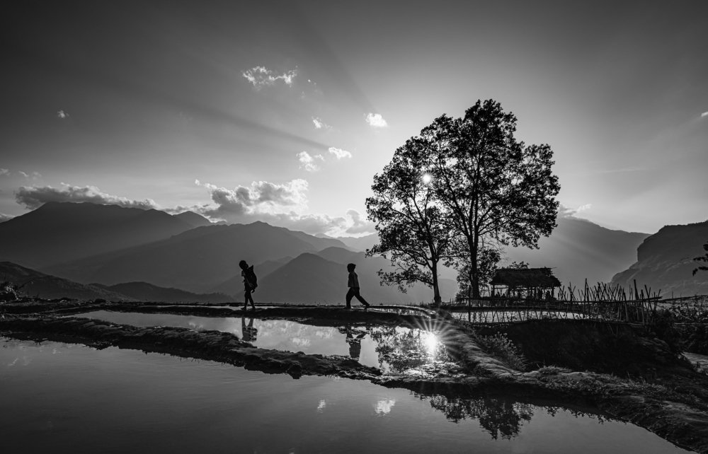 Фотография автора quach nam