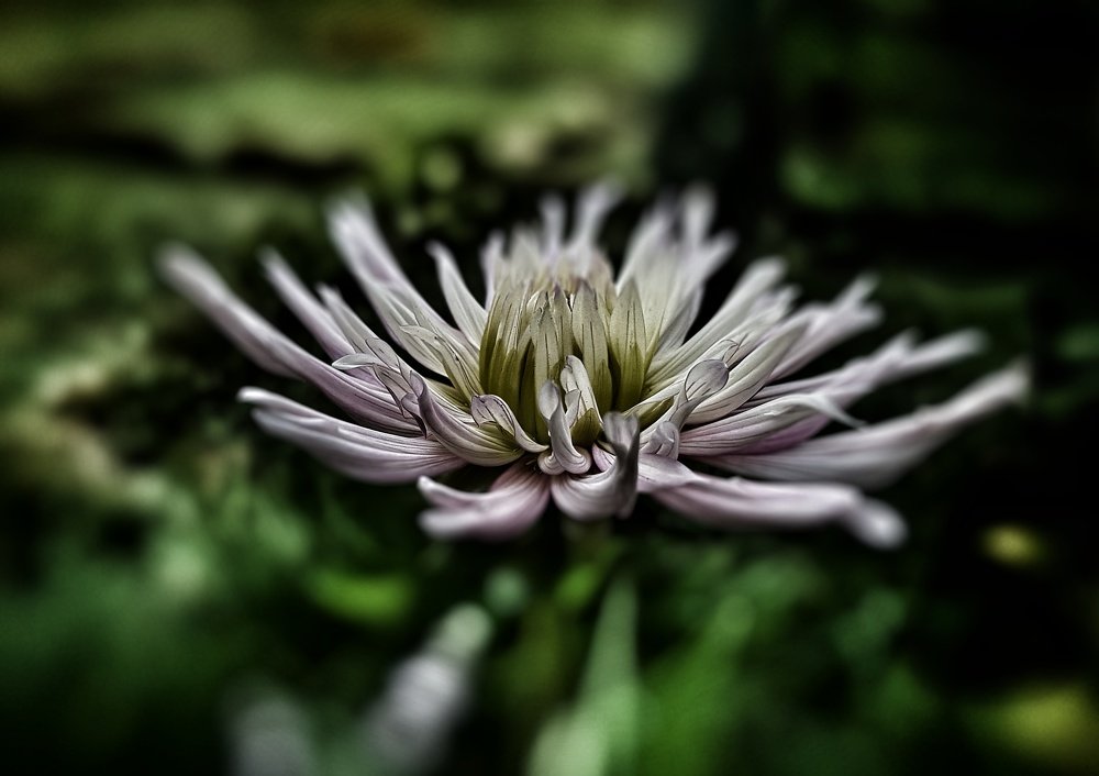 Photograph by Татьяна Мельникова