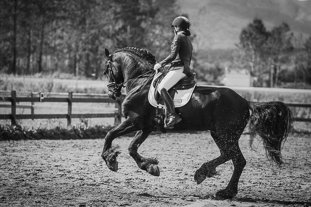 Фотография автора Дмитрий Эбингер