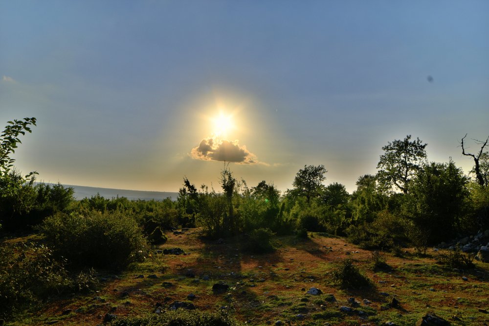 Photograph by Khayal Kazimli