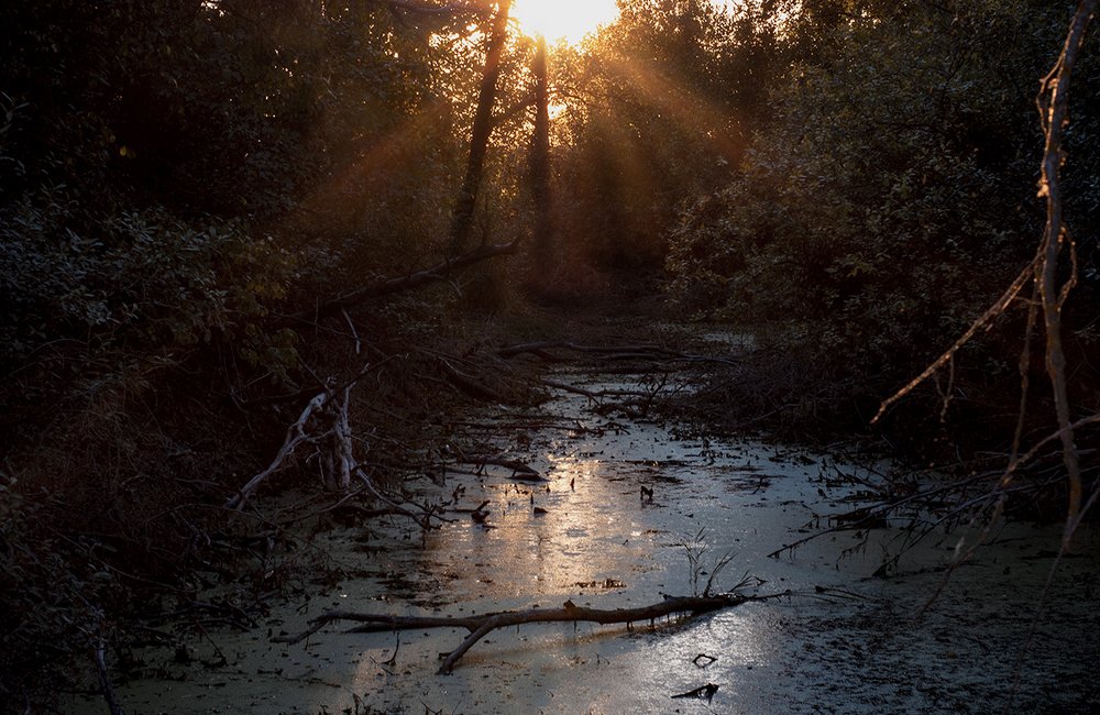 Photograph by Александр Калудин