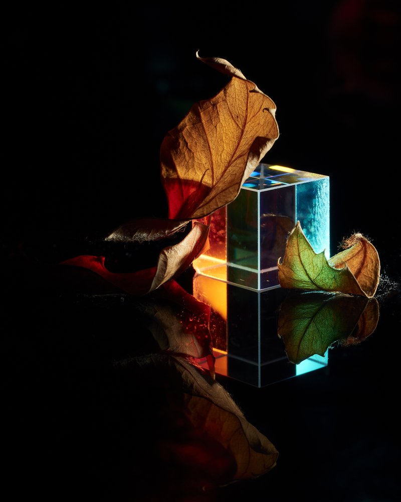 Photograph by Александр Гусаров