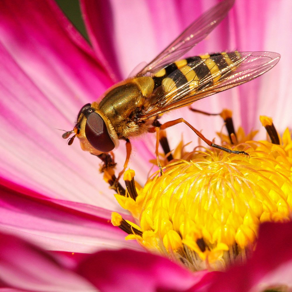 Photograph by Екатерина Топорова