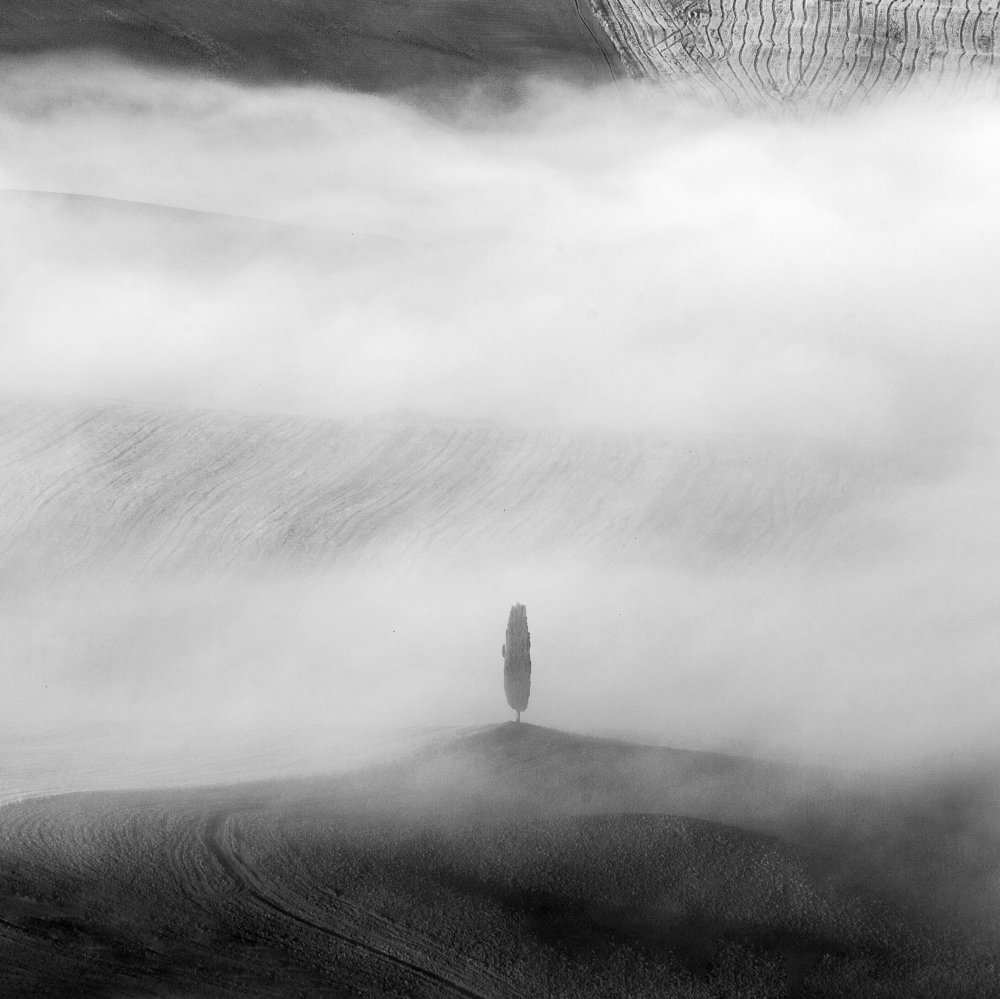 Photograph by Игорь Соколовский