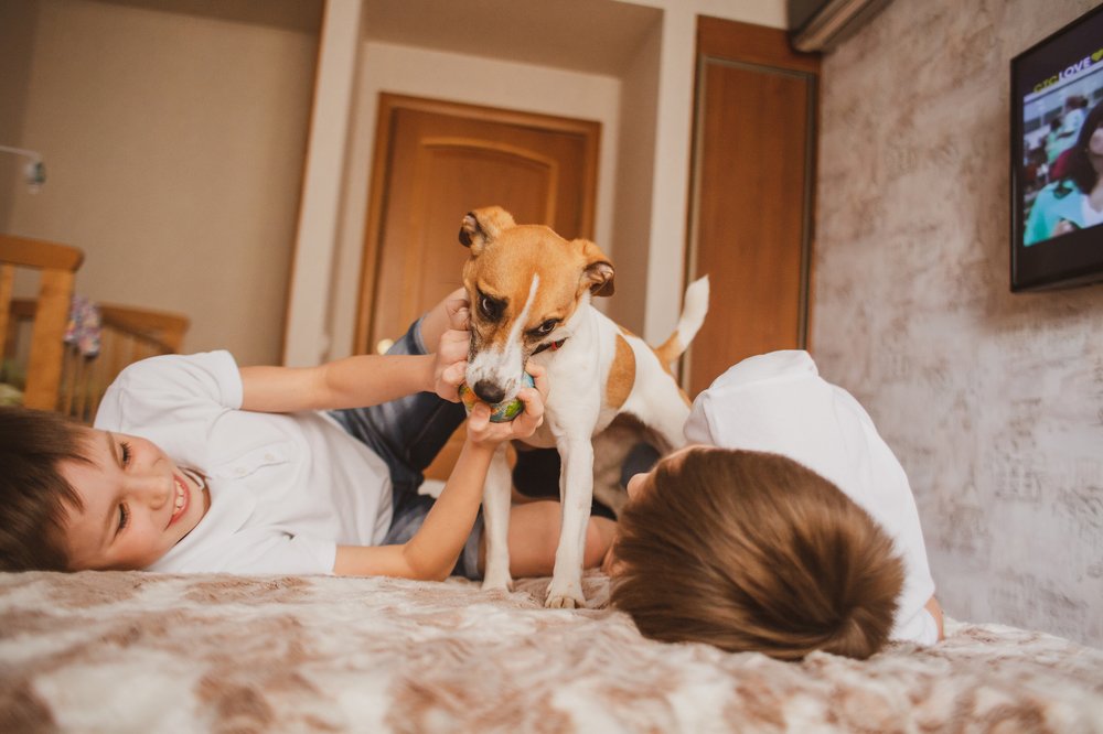 Photograph by Елена Лисина