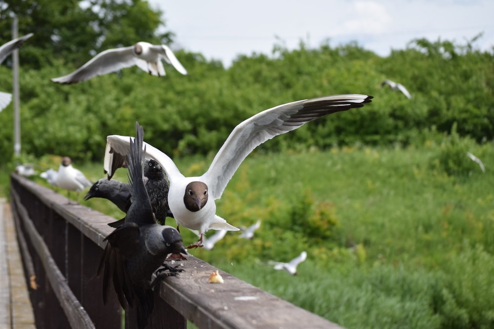 Photograph by Sardana Donskaja